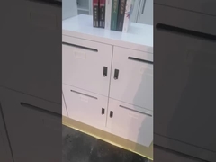 Revêtement de poudre de Cabinet de porte des boîtes aux lettres 4 de bureau en métal de H1200*W900*D450mm